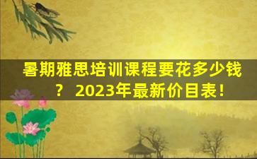 暑期雅思培训课程要花多少钱？ 2023年最新价目表！